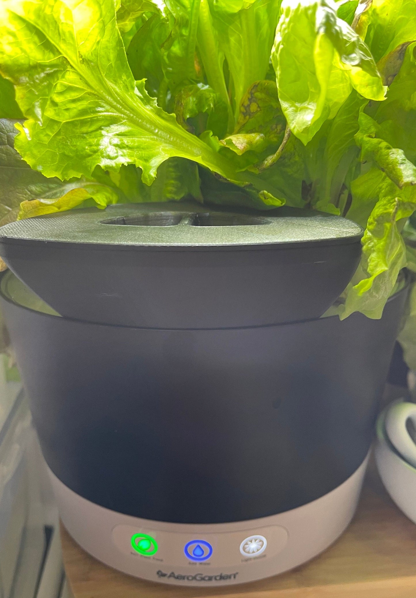 Aerogarden Extender | Easier Watering | Harvest Slim Bounty Elite 360 | Made in USA