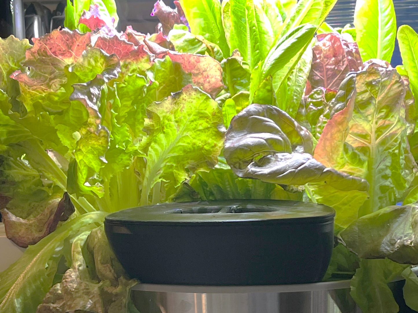 Aerogarden Extender | Easier Watering | Harvest Slim Bounty Elite 360 | Made in USA