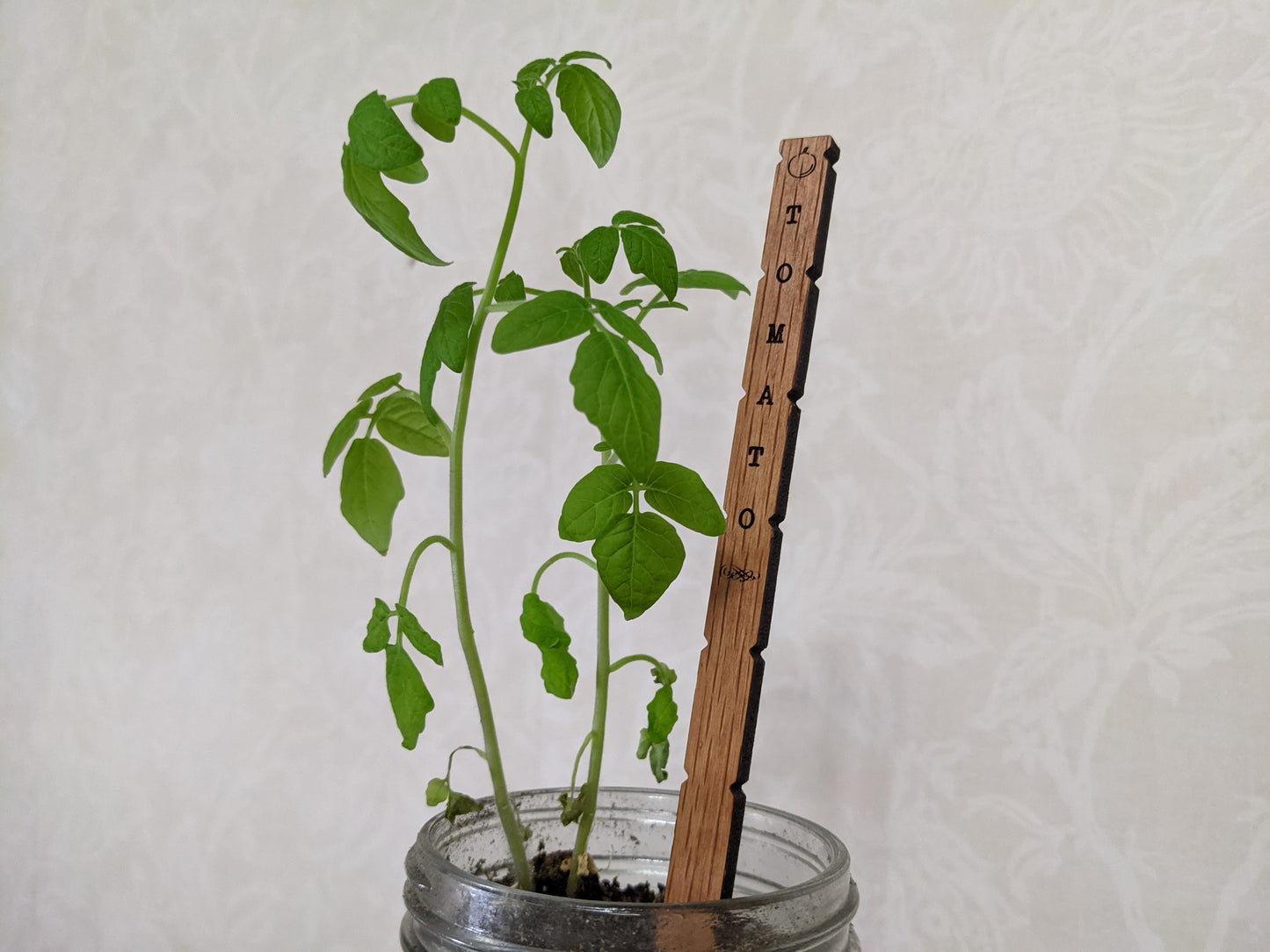 Wood Garden Stakes | Plant Markers | Wood Plant Tags