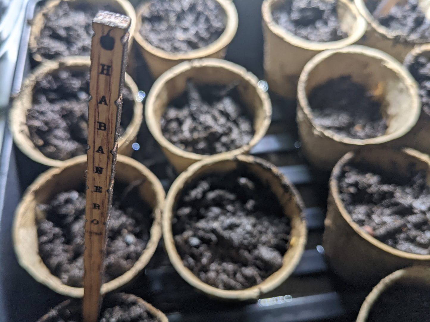 Mini Wood Garden Stakes | Mini Plant Markers | Mini Wood Plant Tags