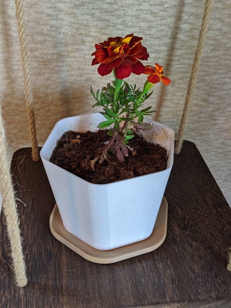 Small Flower Pot | Hex Shape | ~0.3 gallons